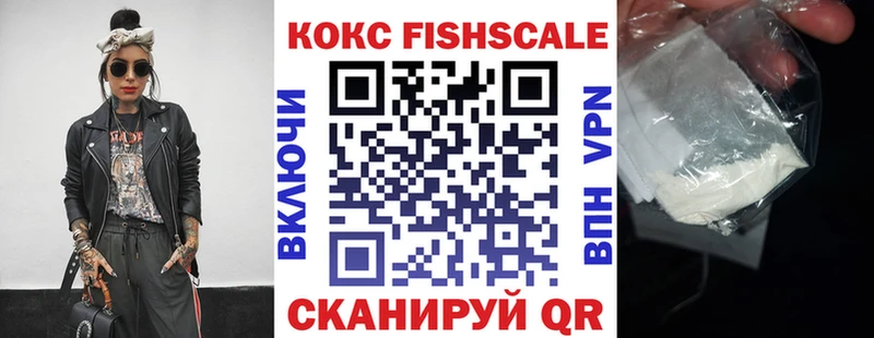 Cocaine FishScale  Купить закладки  Лениногорск 
