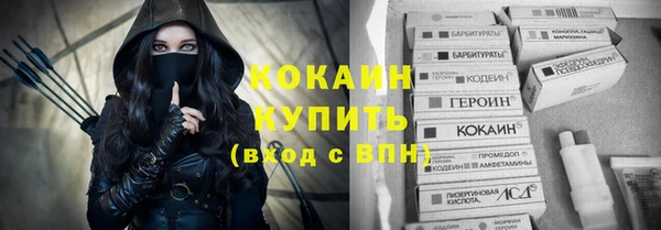 индика Лиски