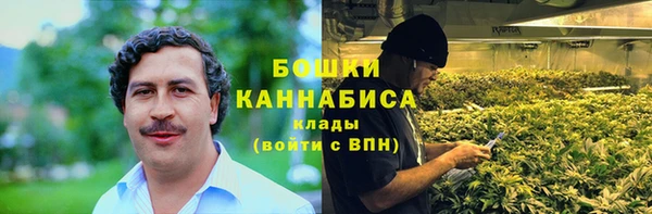 индика Лиски
