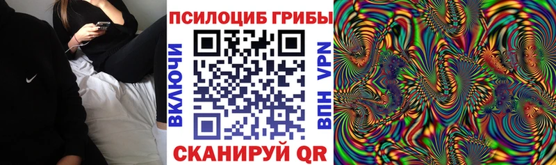 Галлюциногенные грибы мицелий  Купить закладки  Лениногорск 